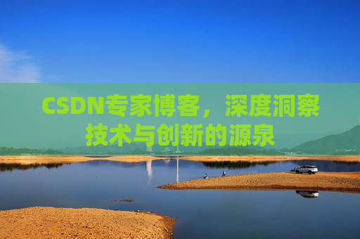 CSDN专家博客，深度洞察技术与创新的源泉